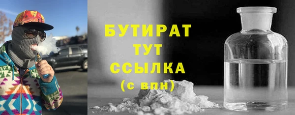 твердый Краснослободск
