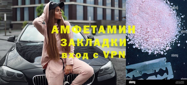 твердый Краснослободск