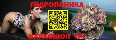 дживик Аргун