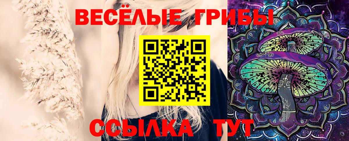 Галлюциногенные грибы GOLDEN TEACHER  Вход с VPN  Псилоцибиновые грибы Psilocybe  Урус-Мартан 